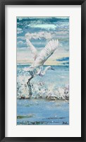 Great Blue Egret I Framed Print