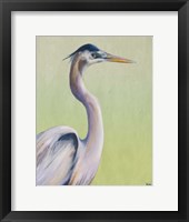 Blue Heron on Green I Framed Print