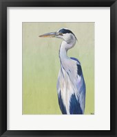Blue Heron on Green II Framed Print