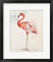 Framed 'Flamingo I' border=