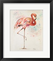 Flamingo II Framed Print