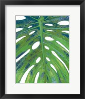 Framed 'Tropical Leaf with Blue II' border=