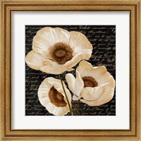 Framed 'Evening Bloom II' border=