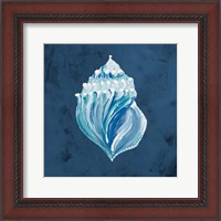 Framed 'Azul Dotted Seashell on Navy II' border=