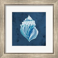 Framed 'Azul Dotted Seashell on Navy II' border=