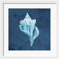 Framed 'Azul Dotted Seashell on Navy I' border=