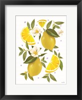 Framed Citrus Lemon Botanical