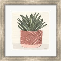 Framed 'Agave 2' border=