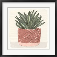 Agave 2 Framed Print