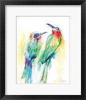 Framed Tropical Birds