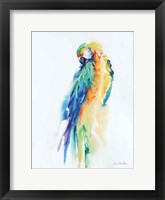 Framed Colorful Parrots II