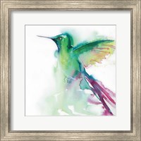 Framed 'Hummingbirds III' border=