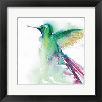 Hummingbirds III Framed Print