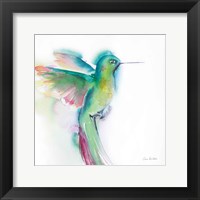 Hummingbirds II Framed Print