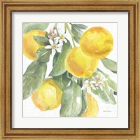 Framed 'Citrus Charm Lemons II' border=