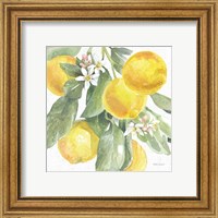 Framed 'Citrus Charm Lemons II' border=