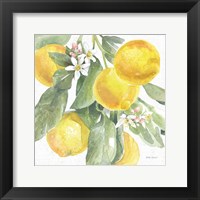 Framed Citrus Charm Lemons II