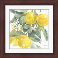 Framed 'Citrus Charm Lemons I' border=