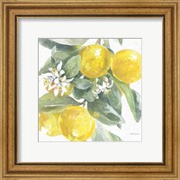 Framed 'Citrus Charm Lemons I' border=