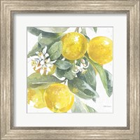 Framed Citrus Charm Lemons I
