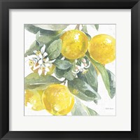 Framed Citrus Charm Lemons I