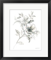 Sketchbook Garden VII BW Framed Print