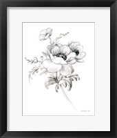 Sketchbook Garden X BW Framed Print