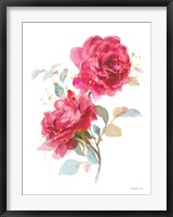 Bold Roses II Framed Print