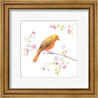 Framed 'Flight Friends III' border=