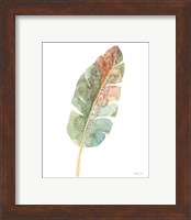 Framed 'Boho Tropical Leaf I on White' border=