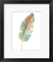 Framed 'Boho Tropical Leaf I on White' border=