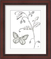 Framed 'Outdoor Beauties Butterfly II' border=