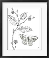 Outdoor Beauties Butterfly I Framed Print