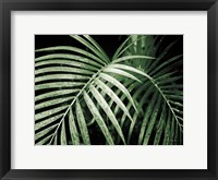 Framed Palm Fronds Green