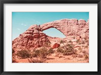 What a View IV Framed Print