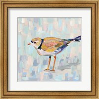 Framed 'Coastal Plover IV v2 Neutral' border=