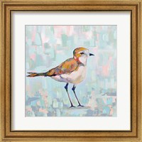 Framed 'Coastal Plover III Neutral' border=