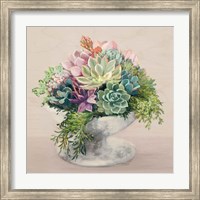 Framed 'Festive Succulents II Blush' border=