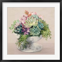 Festive Succulents II Blush Framed Print