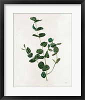 Framed Botanical Study II Greenery