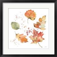 Falling Leaves I Framed Print