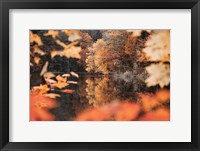Framed Autumn Reflections