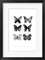 Framed Six Inky Butterflies