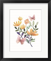 Framed Butterflies and Flowers