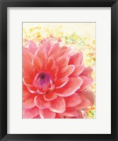 Framed Dahlia Splatter