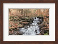 Framed Waterfall Steps at Pigeon Run