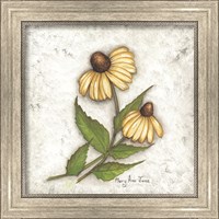 Framed 'Yellow Coneflowers' border=