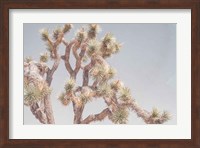 Framed Desert Floral I