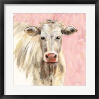 Framed White Cow on Pink