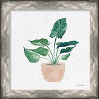 Framed 'Home Garden III' border=